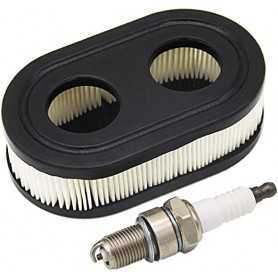 Filter + Spark plug + Engine oil (or already inserted in the engine)