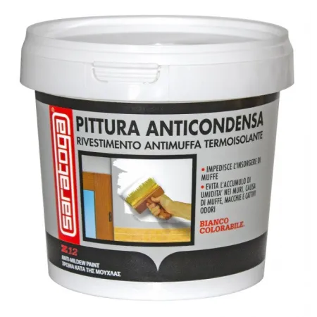 Anti-mold paint - ml.750 - z12