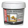 Anti-mold paint - ml.750 - z12