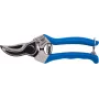Scissor svettatoio for the vineyard, pruning, pruning, pruning the vineyard, pruning of vesco