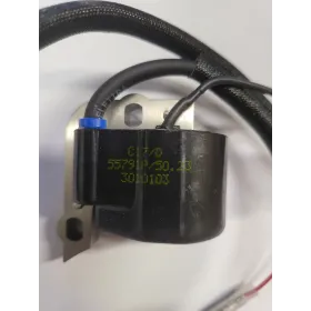 Electronic coil - c7-selectra - cifarelli 3010103