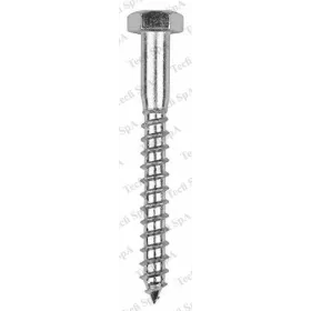 Galvanized lag screw - 10 x 80 - for wood