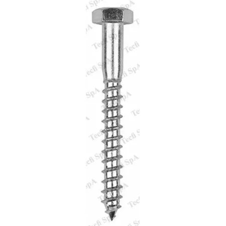 Galvanized lag screw - 8 x160 - for wood