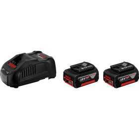 Batteries 2 pcs-5ah + charger - gal 1880 hp 18v -