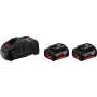 Batteries 2 pcs-5ah + charger - gal 1880 hp 18v -