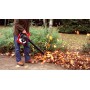 Honda HHB 25 EW T1 4-Stroke Leaf Blower | Fershop