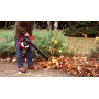 Honda HHB 25 E Blower
