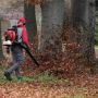 Cifarelli BL1200 Backpack Blower, 77 cc | Fershop