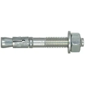 Fischer FBN anchor ii 10 / 100 (10x176)