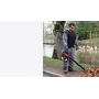 Honda HHB 25 E Blower