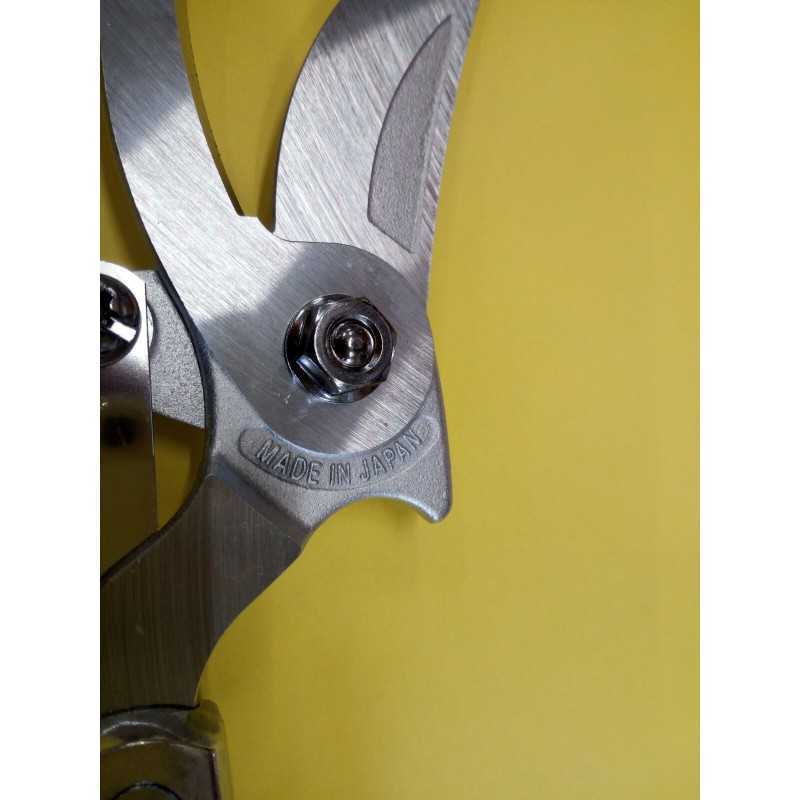 Pruning pruning ars telescopic