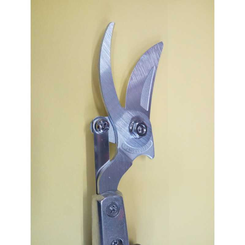 Pruning pruning ars telescopic